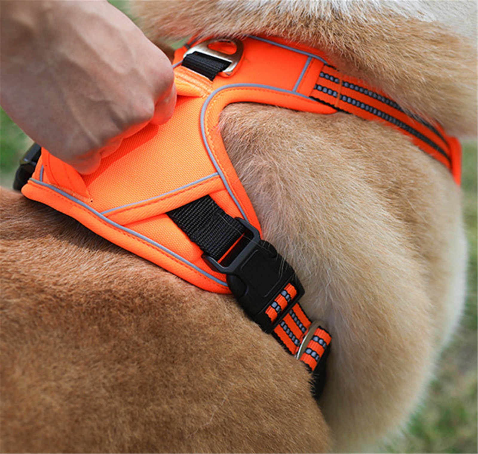 Arnés Impermeable para Mascotas con Asa Vertical Duradero