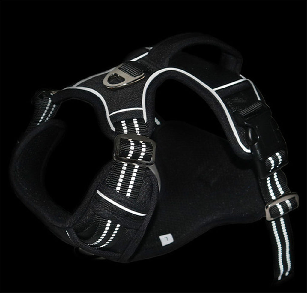 Arnés Impermeable para Mascotas con Asa Vertical Duradero
